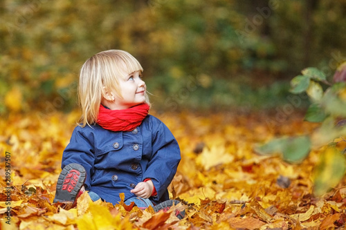 Happy autumn  Little sweet girl playing with leaves in an autumn park. Copy space  falling leaves.