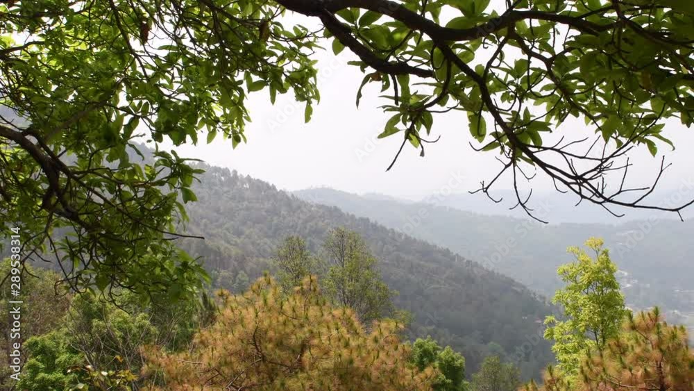 Video of tree moving in the wind. Tree as frame of mountains covered in clouds in Nepal. Nature 4k resolution stock footage of moving tree and leaves. Rainforest ultra hd footage Kathmandu Valley. Video of tree moving in the wind. Tree as frame of mountains covered in clouds in Nepal. Nature 4k resolution stock footage of moving tree and leaves. Rainforest ultra hd footage Kathmandu Valley.