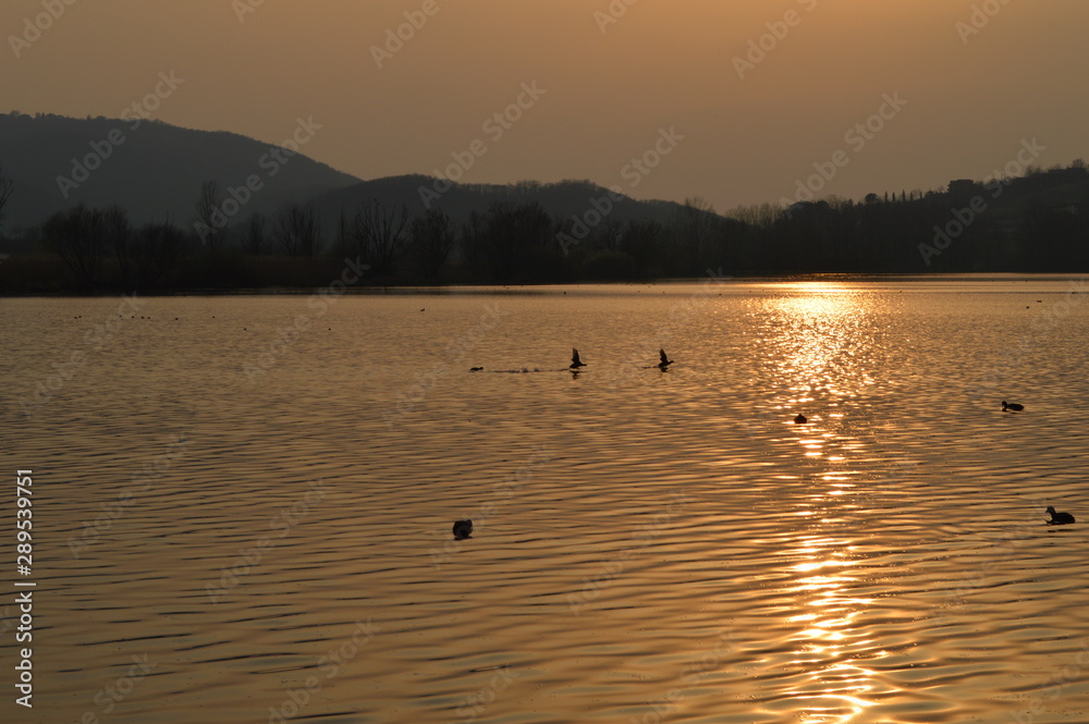 Naklejka premium Tramonto