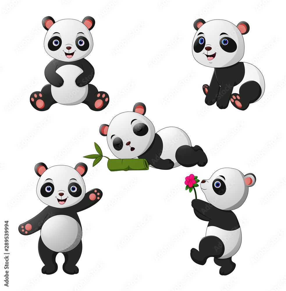 Illustration of Cute baby pandas collection Illustration of Cute baby pandas collection
