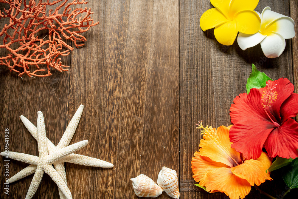 Fototapeta premium ハイビスカスとプルメリア