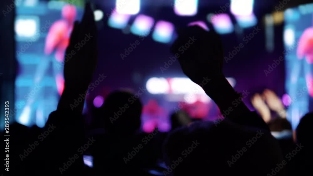 People are having fun on concert of modern musician People are having fun on concert of modern musician