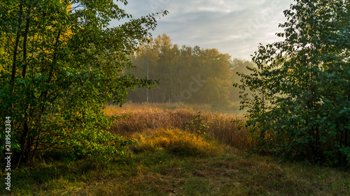 autumn landscape for wallpaper and design