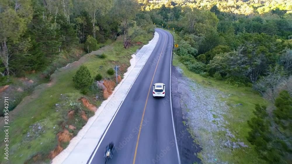 Camioneta en carretera en medio del bosque, drone Camioneta en carretera en medio del bosque, drone