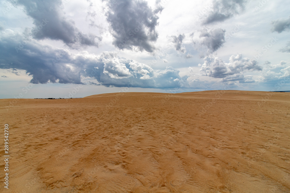 Naklejka premium Jockeys Ridge State Park, Outer Banks North Carolina