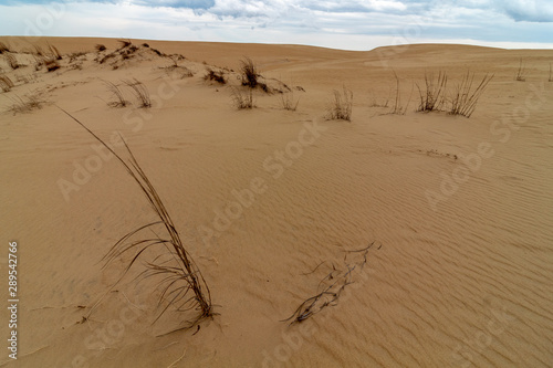 Sandy Dunes  Jockeys Ridge North Carolina