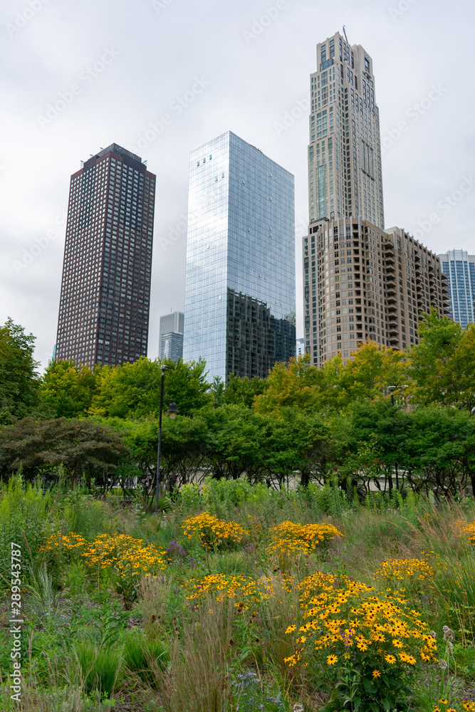 Flowers and Native Plants at a Park in Streeterville Chicago with Skyscrapers
