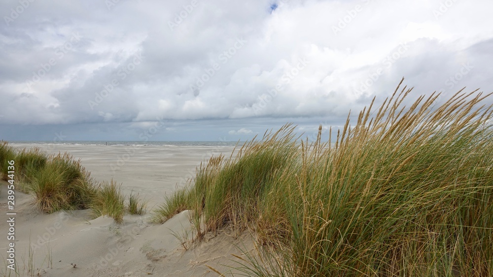 Dünen- und Strandlandschaft auf Ameland, Niederlande