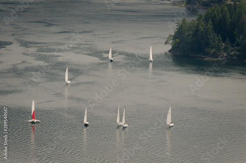Sailboats in the Bay