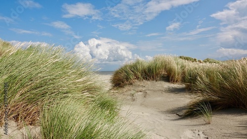 Dünen- und Strandlandschaft auf Ameland, Niederlande photo