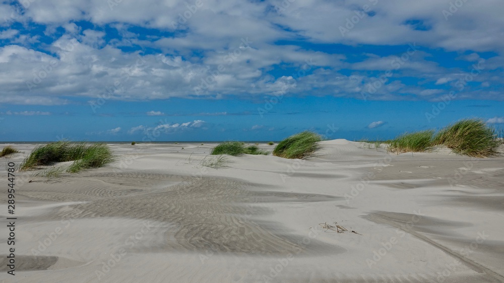 Dünen- und Strandlandschaft auf Ameland, Niederlande