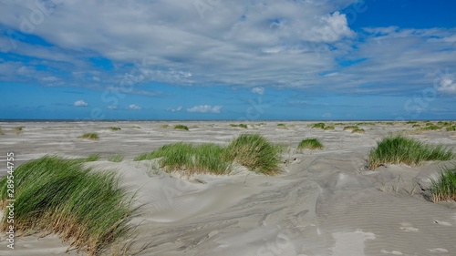 D  nen- und Strandlandschaft auf Ameland  Niederlande