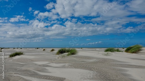 D  nen- und Strandlandschaft auf Ameland  Niederlande