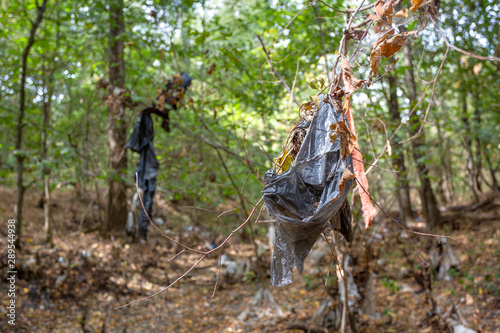 Plastic bags inside a beautiful forest. Environmental pollution.