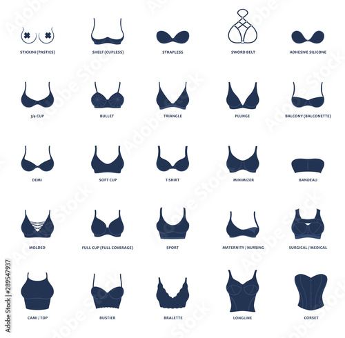 Types Of Bras Images – Browse 2,744 Stock Photos, Vectors, and