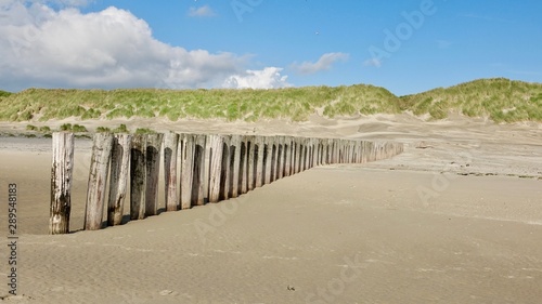 Hölzerne Wellenbrecher am Strand von Ameland, Nordsee © Omm-on-tour