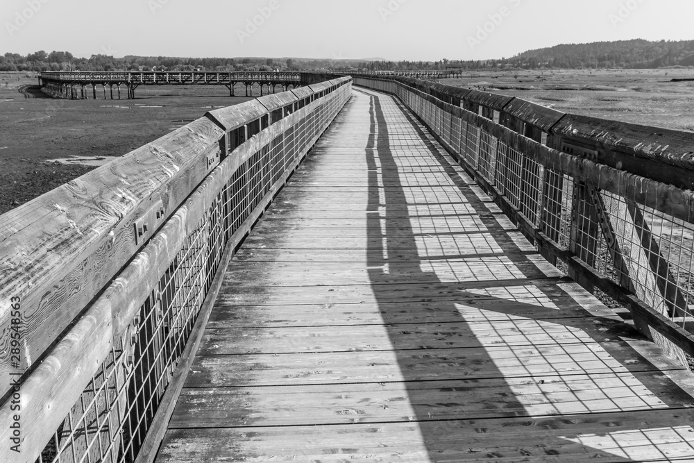 Obraz premium Nisqually Wetlands Boardwalk 14