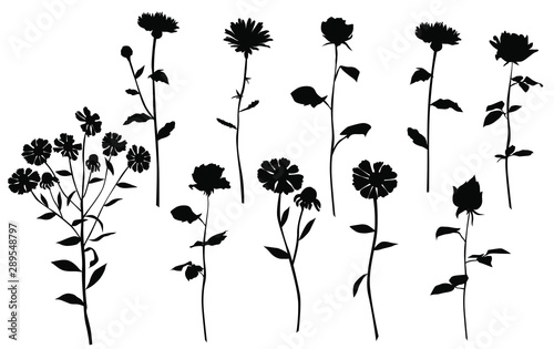 Set of silhouette flowers rose, daisy, chamomile, spring and summer forest and garden field flower, black color isolated on white background