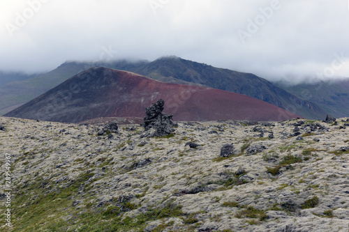 Mit verschiedenen Moosen überwachsenes Lavafeld Berserkjahraun bei Stykkisholmur photo