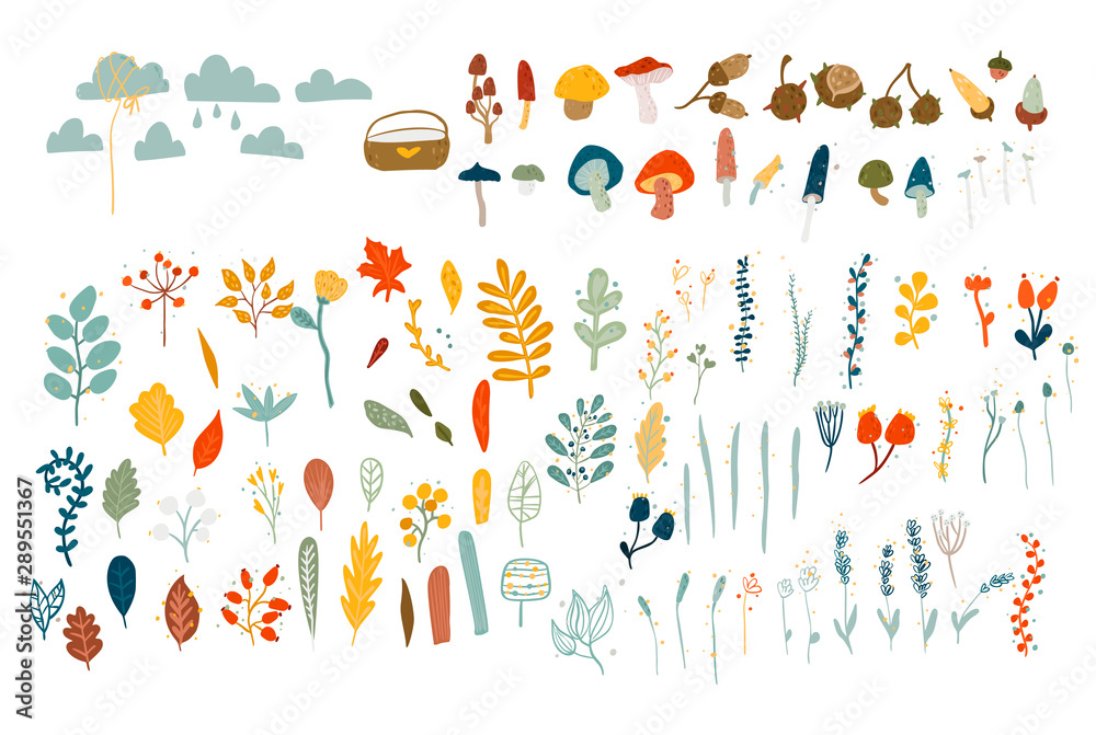 Autumn vector set. Leaves, mushrooms, clouds and berries. cartoon style illustration