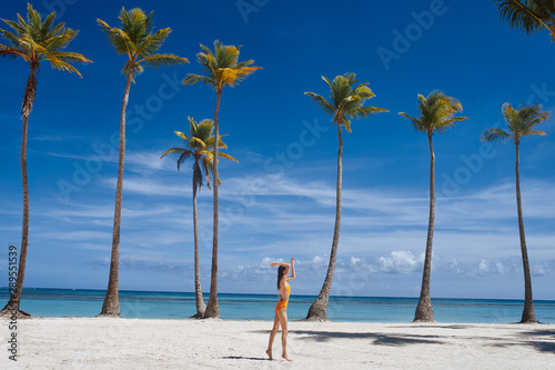 beach with palm trees