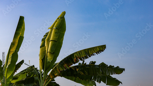 Blue sky that is in the natural state of Indonesia