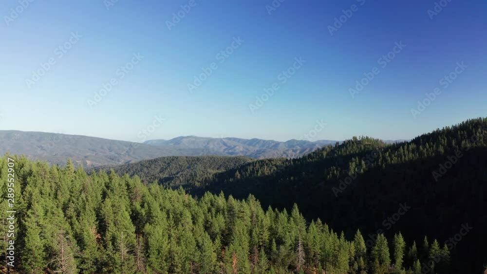 Mount Pinos California Forest Mount Pinos California Forest