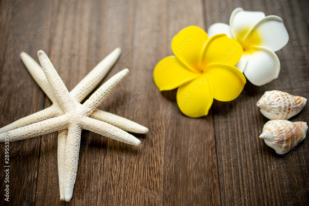 プルメリアとヒトデ