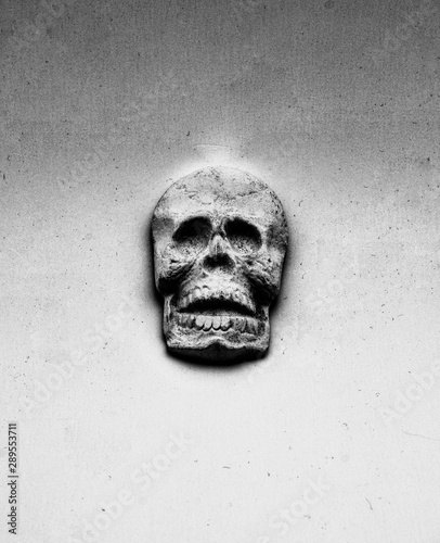 skull on wall