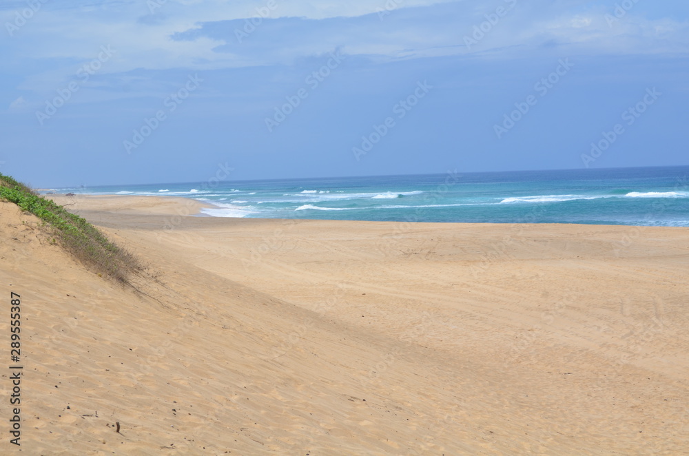 beach and sea