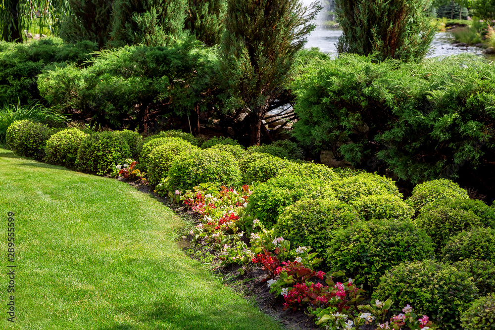 Fototapeta premium well maintained park with flower bed of green spaces, meadow on sunny summer park with plants, nobody.