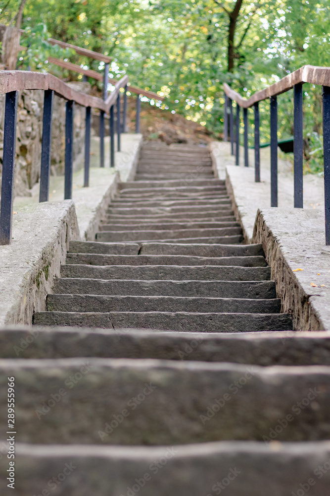 cement staircase goes up the slope in a green forest cement staircase goes up the slope in a green forest