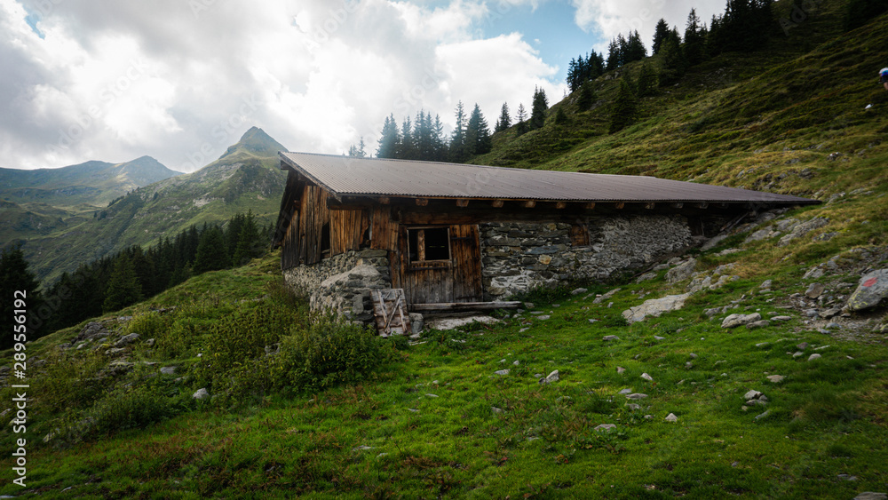Österreich Wanderung mit Kühen und einer spektakulären Aussicht Österreich Wanderung mit Kühen und einer spektakulären Aussicht