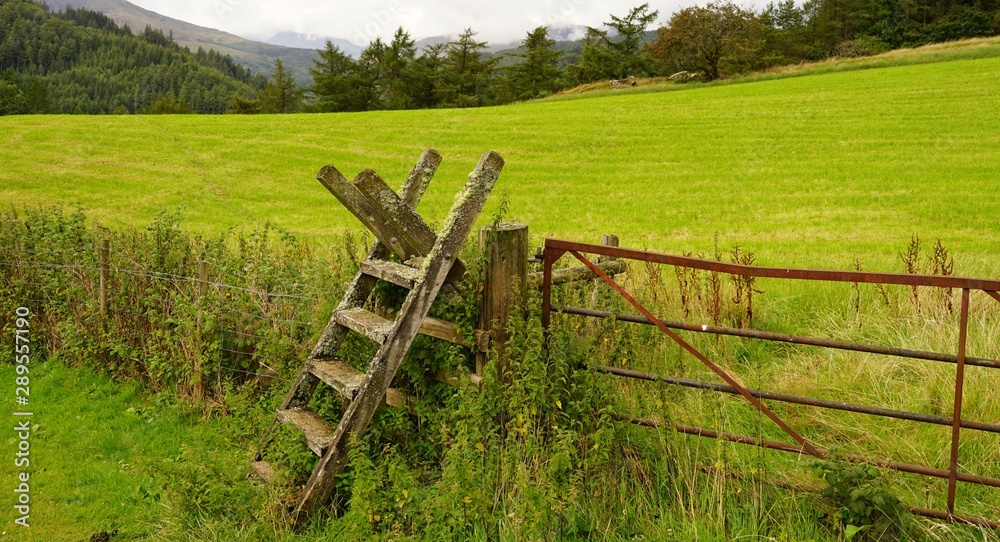 Rural Hiking Trail Stile in a Pasture
