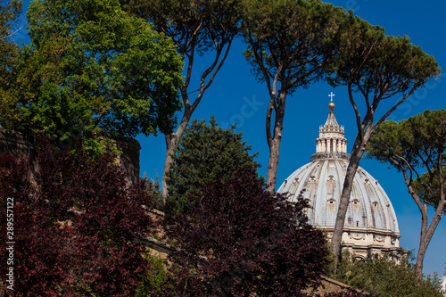Dome of the Papal Basilica of St. Peter in the Vatican seen from the Viale Vaticano