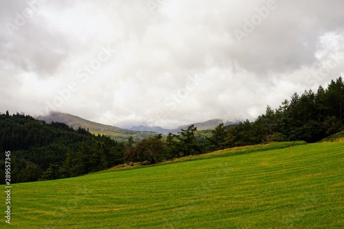 Pastoral Farm Pasture in Wales