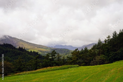 Pastoral Farm Pasture in Wales