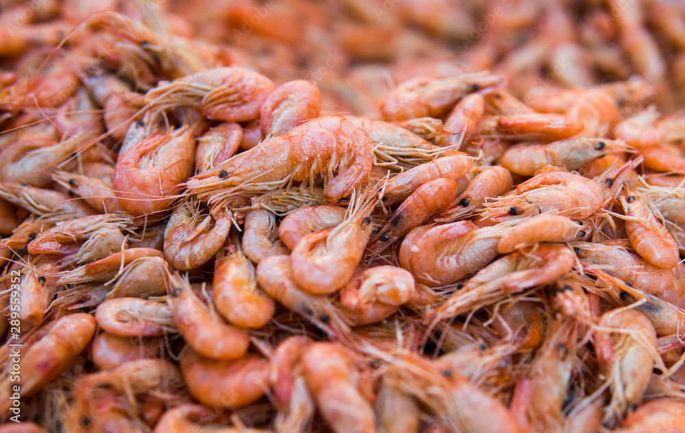 Shrimps. Cooked shrimps. Pile of little shripms. Shrimps. Cooked shrimps. Pile of little shripms.
