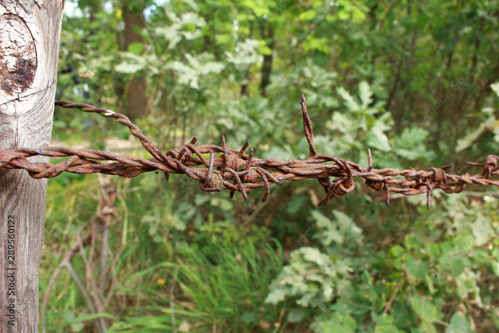 Naklejka premium Stacheldrahtzaun
