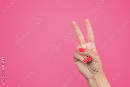 Closeup view of beautiful manicured white female hand isolated on bright pink background. Woman raising two fingers up. Horizontal color photography.