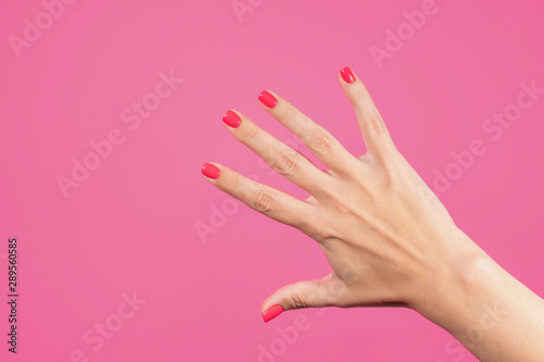 Closeup view of beautiful manicure female hand isolated on pink background. White caucasian woman showing her five fingers. Horizontal color photography.