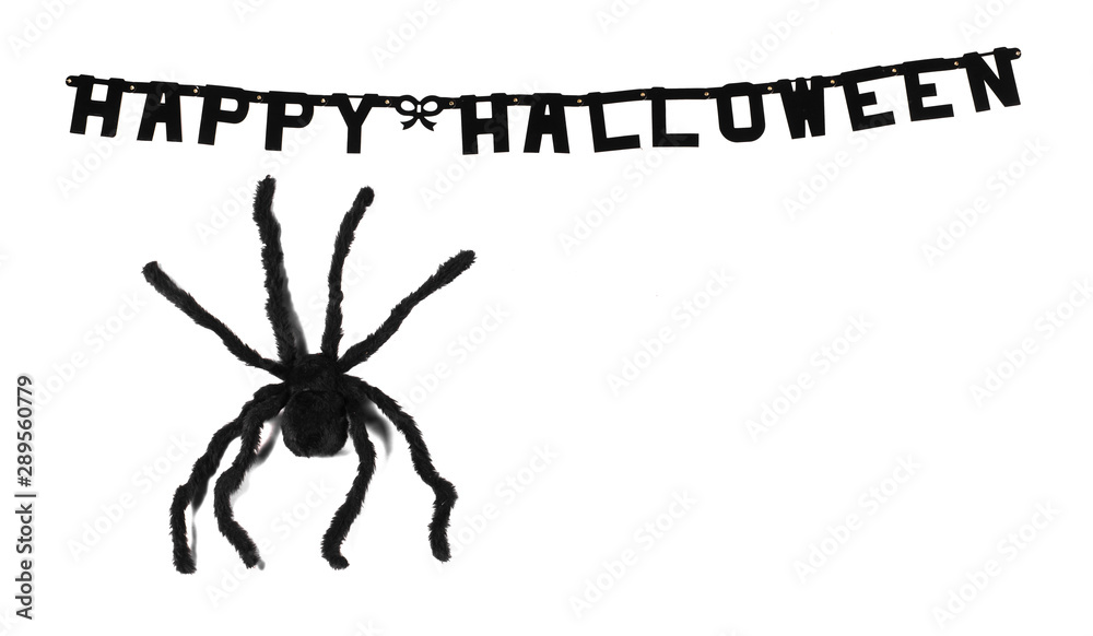 Halloween background with spiders, Happy Halloween inscription