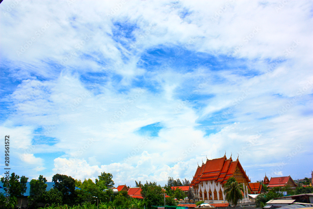 Obraz premium Nature view
