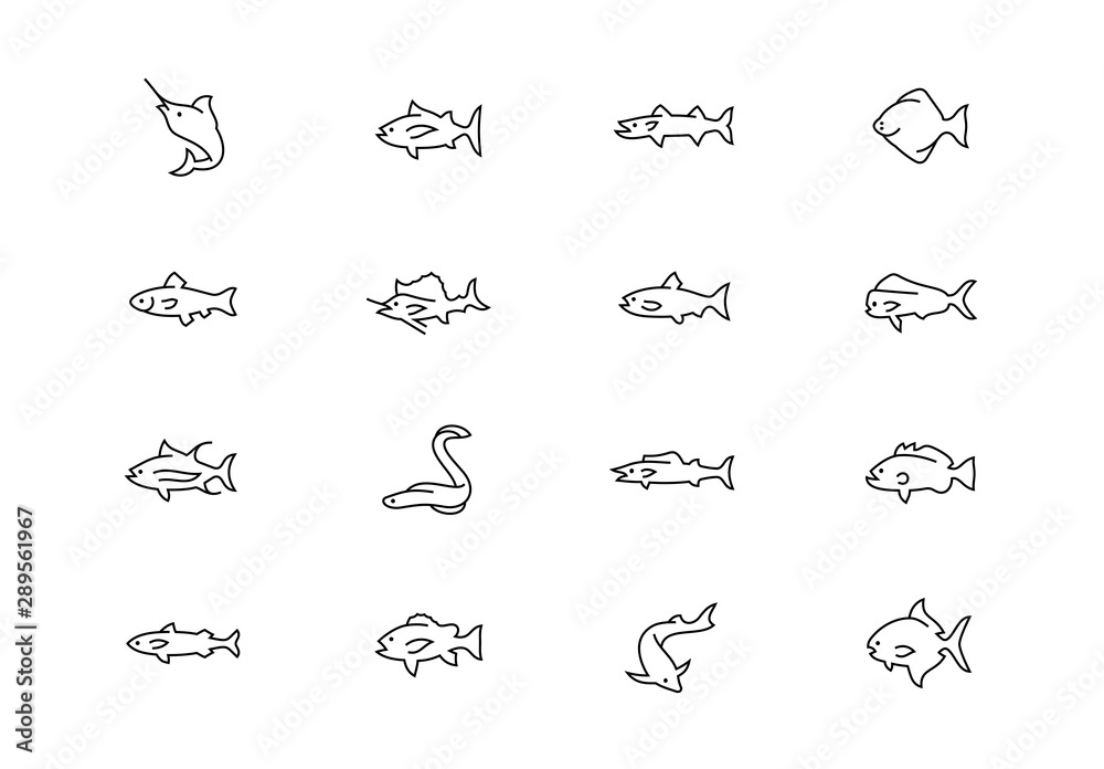 Fish thin line vector icons. Editable stroke Fish thin line vector icons. Editable stroke