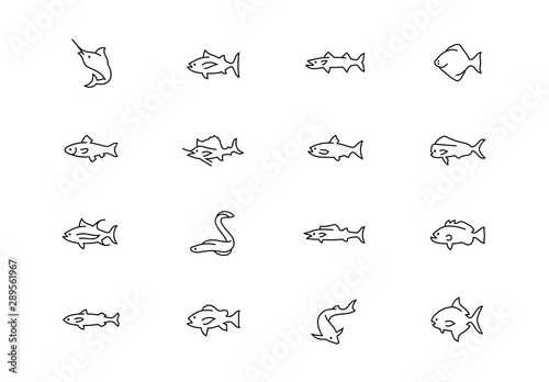Fish thin line vector icons. Editable stroke