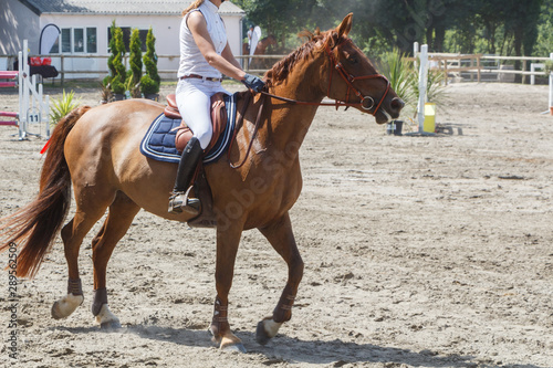 Woman riding a chestnut horse at trot