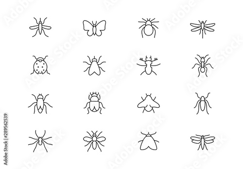 Insects thin line vector icons. Editable stroke