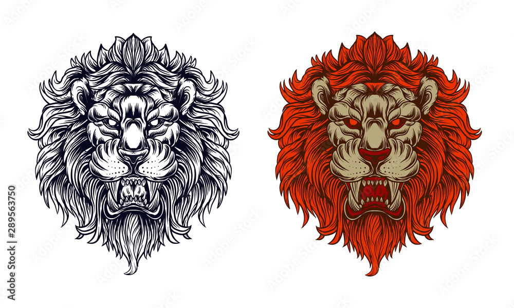 Fototapeta premium lion head vector illustration with vintage style outline