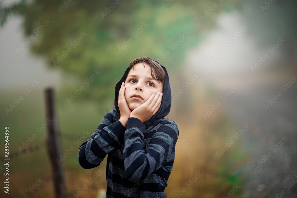 the boy stands on a country road surrounded by fog