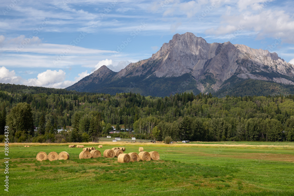 Bales of Hay in a farm field with Canadian Rocky Mountains in the Background during a vibrant sunny summer day. Taken in Kootenay near Fernie, British Columbia, Canada.